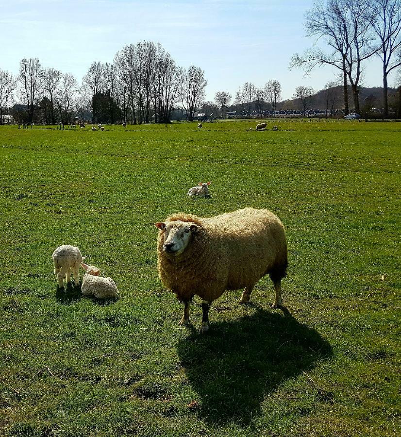 L'Amour Pur Schoorl Buitenkant foto