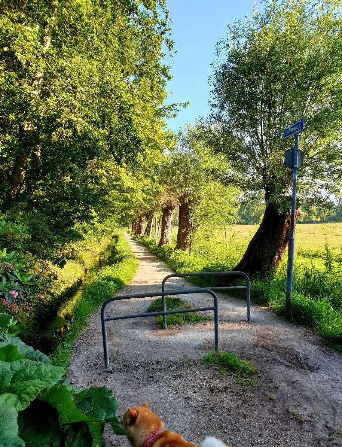 L'Amour Pur Schoorl Buitenkant foto